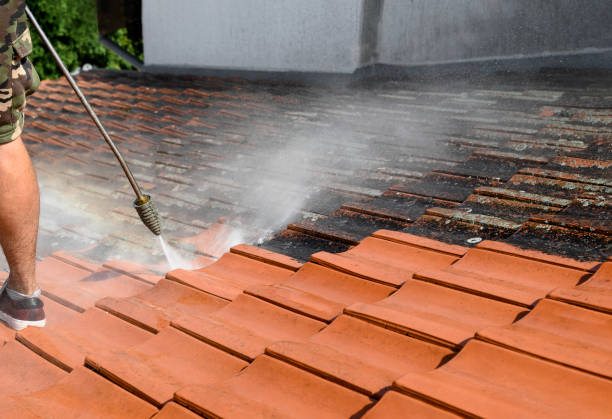 Local Pressure Washing Services in Denton, MD