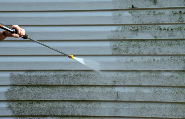 Best Roof Power Washing Services  in Denton, MD