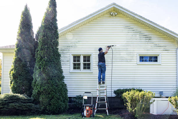 Best Commercial Building Pressure Washing  in Denton, MD