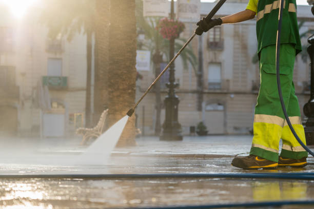 Best Roof Pressure Washing  in Denton, MD