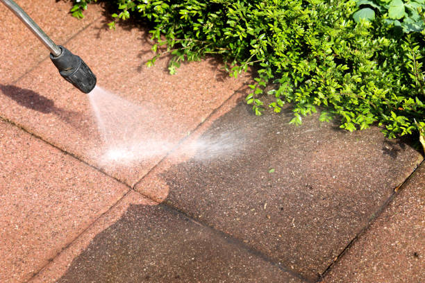 Best Residential Pressure Washing Services  in Denton, MD