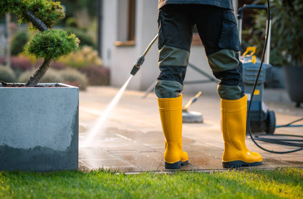 Best Exterior Home Cleaning  in Denton, MD